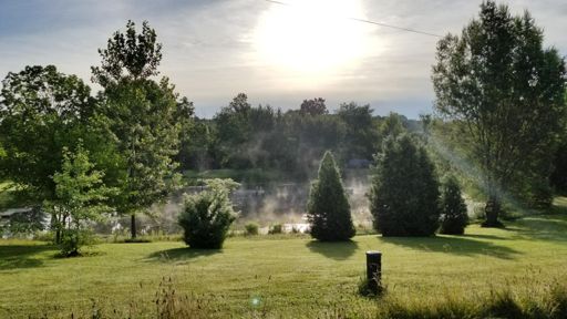 Morning glory, morning fog