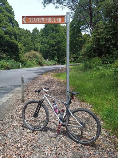 First time across Seview Ridge Rd. Undulating with some fast downhill stretches.