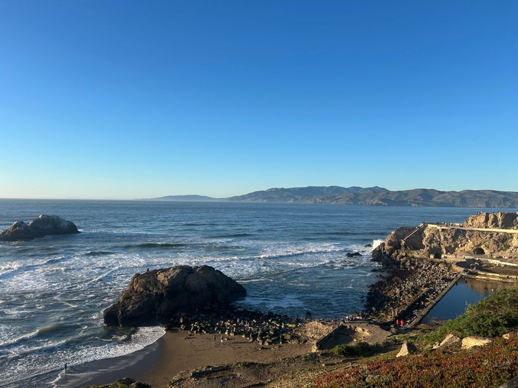 Butterlap (Presidio & Golden Gate Park) photo 30