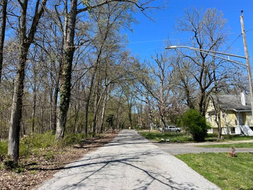 Lovely road next to a park.