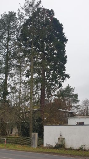 Seligenstadt_ID23731_BM_Am Breitenbach 4