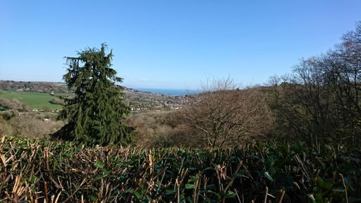 Looking down on Lyme Regis from cathole