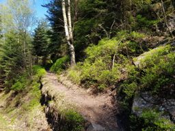 Petit tour dans la côte de Repy