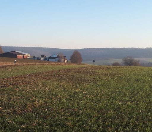 Blick Straußenfarm Richtung Mainebene AB