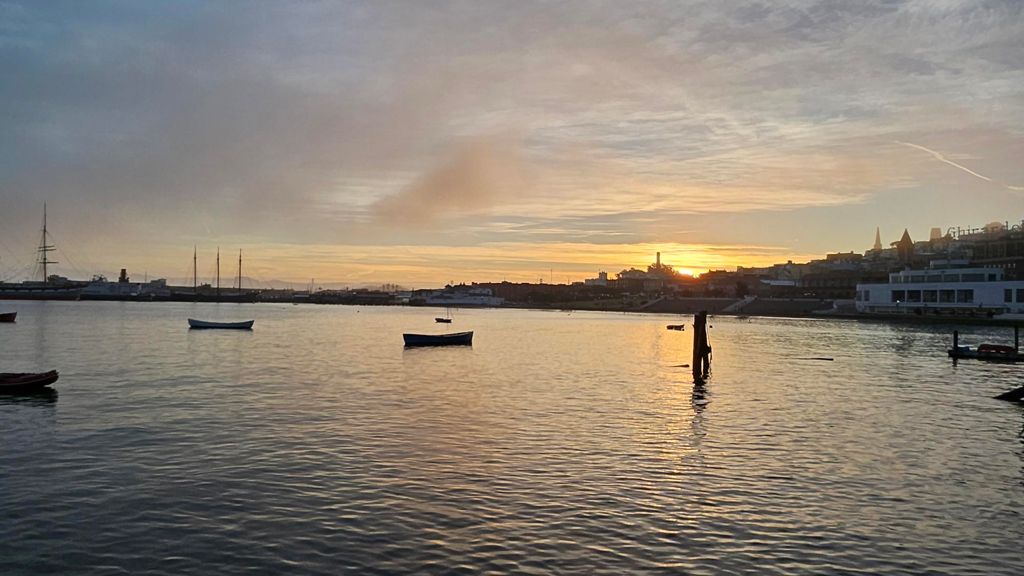 Butterlap (Presidio & Golden Gate Park) photo 76