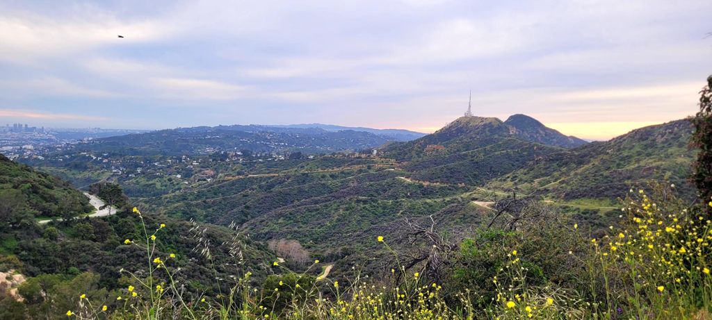 NBB run - Lake Hollywood: фото 57