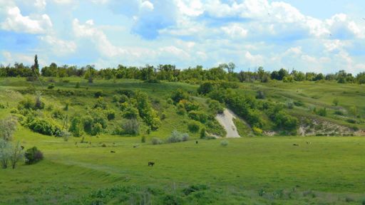 Долина Нитриуса