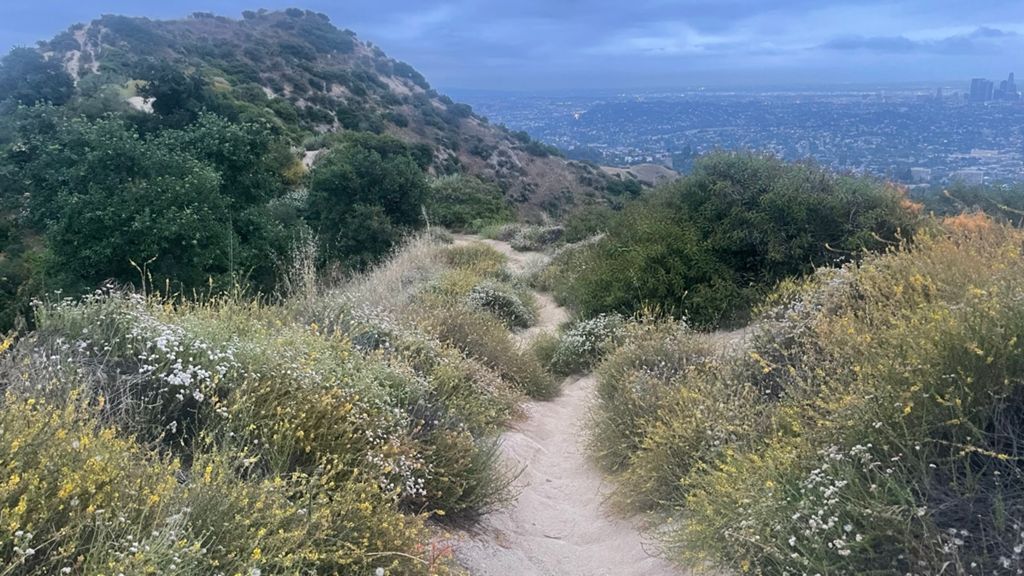 NBB run - Lake Hollywood photo 136