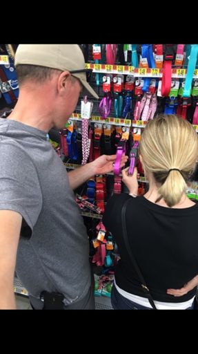 Shopping for new collars cuz we feel bad we left them this weekend