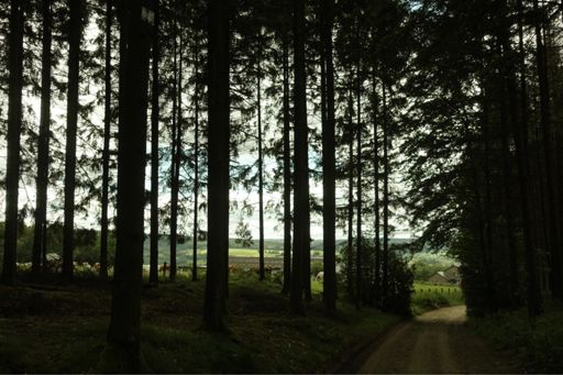 Is het eigenlijk erg dat ik soms - lees: meestal - meer behoefte heb aan koeien met uitzicht dan aan mensen?