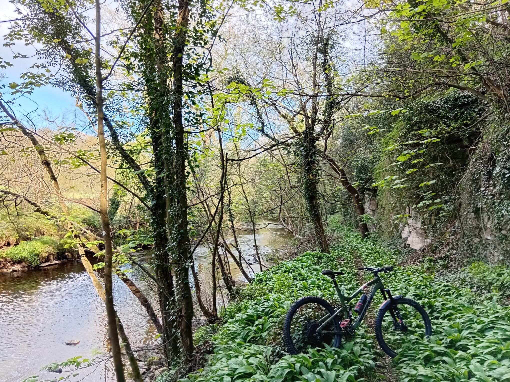Garlic and Sinnington on the way to the forest at Cropton. Happy Earth Day