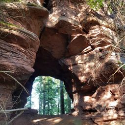 Tête de la gorge aux sangliers et Canceley