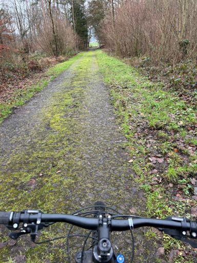 Like Paris Roubaix 😊