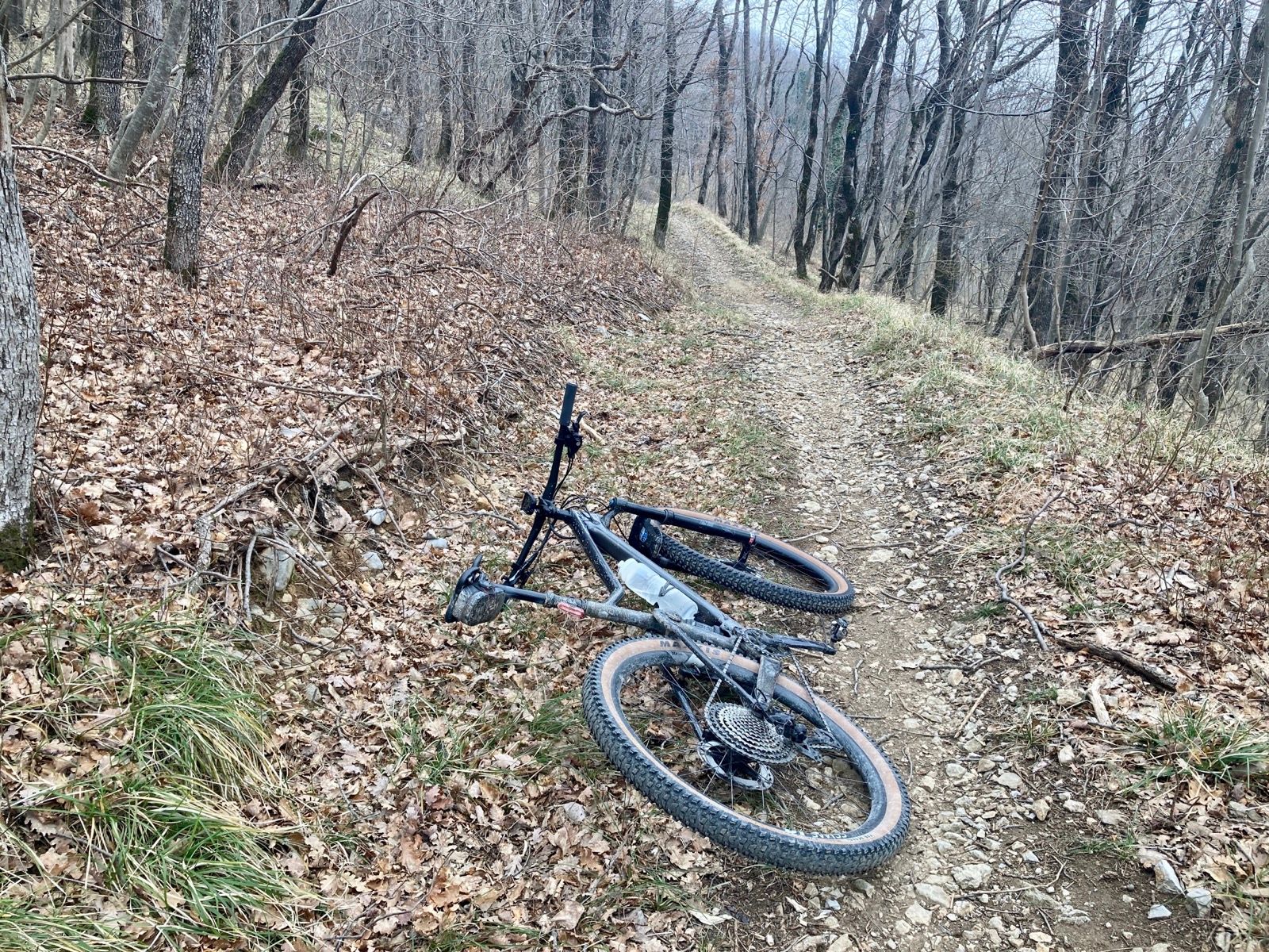 Ride Image 4