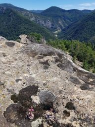 Les grés d’Annot en famille