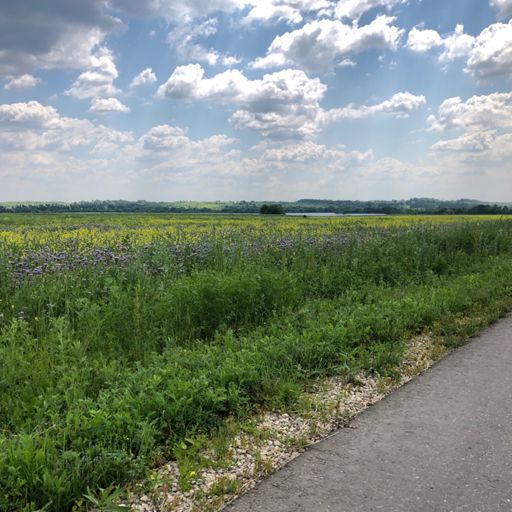 ☀️☀️☀️😰