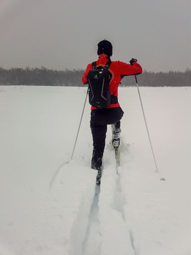 Поле западнее Исаково.