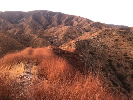 And we continue up...