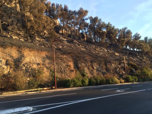 Pas agréable de sentir cette odeurs de brûler