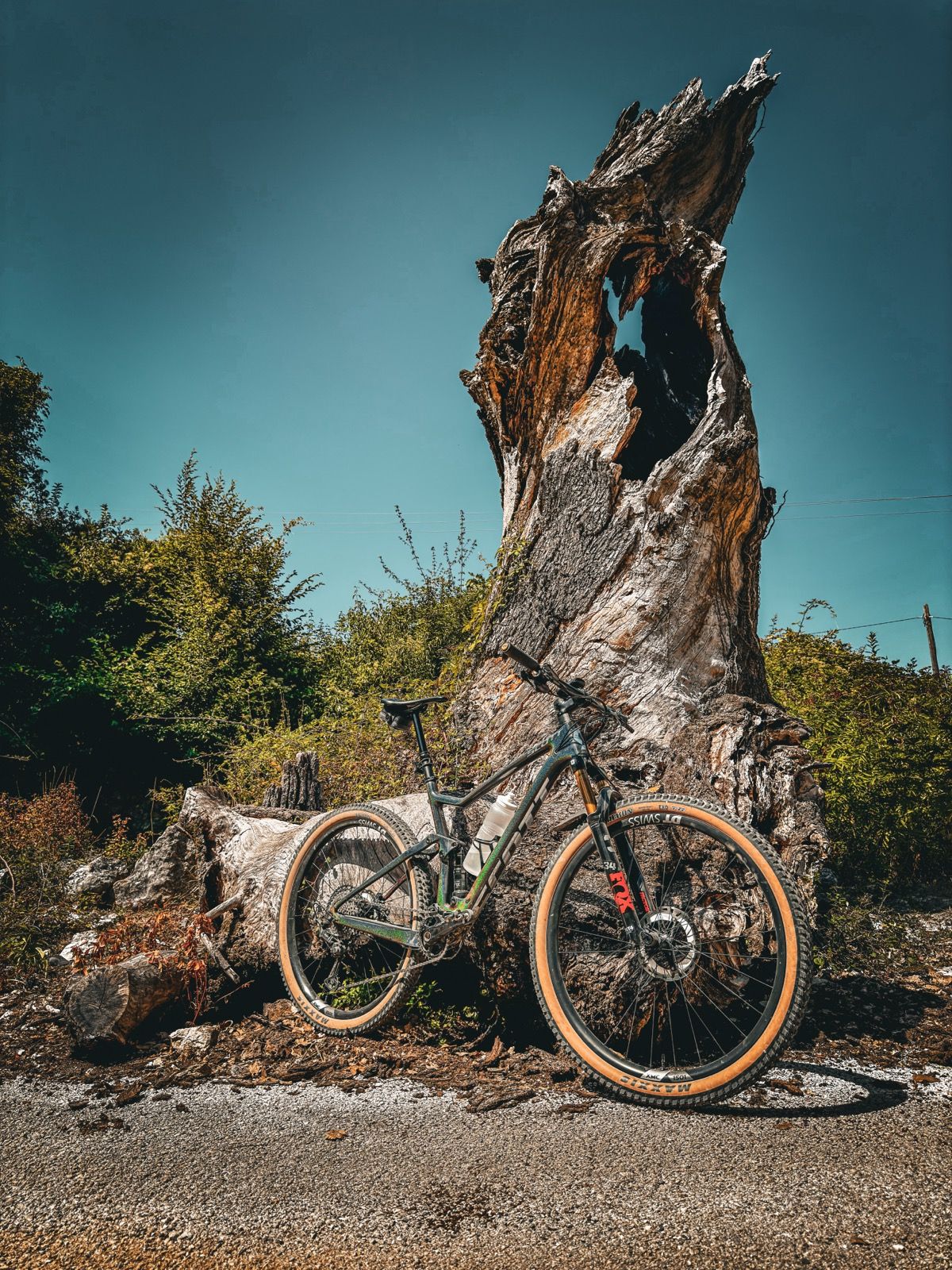 Ride Image 1