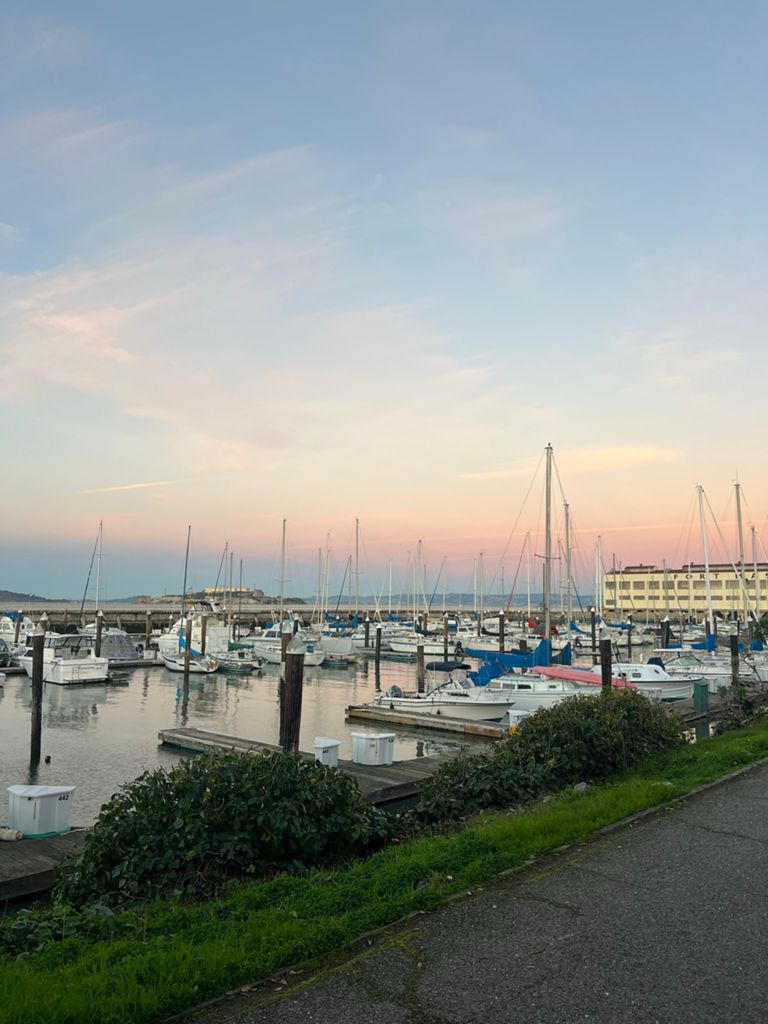 Butterlap (Presidio & Golden Gate Park) photo 194