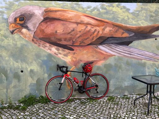 Estádio Nacinal - Piscina