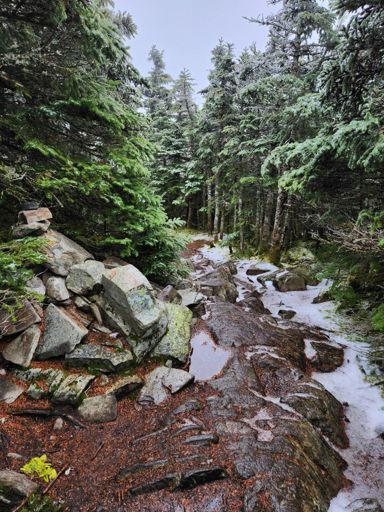Summit cairn on Willey...makes all the effort worthwhile.