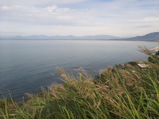 Scoglio di S.Francesco Agropoli!