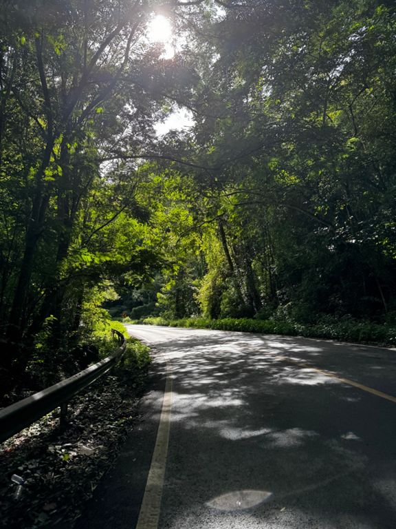 route-highlight