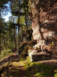 Footing clineroche