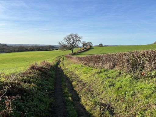 Very picturesque vista