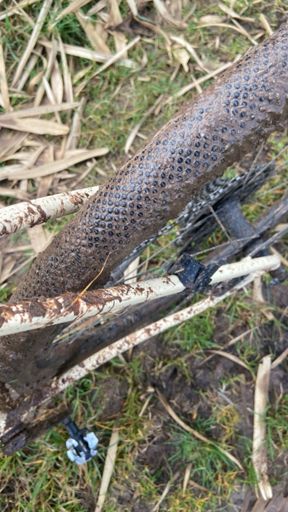 Und so werden die Reifen zu slicks