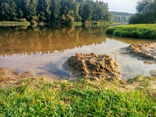 Как заметила Оксанка -биларусский песчаный аллигатор. Ареал обитания обширный на любом водоеме с песчаными пляжами. Есть подвид --грязевая гадзилла.