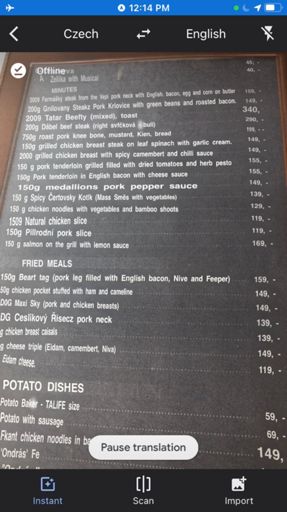 Offline translation is surprisingly effective for translating menus.