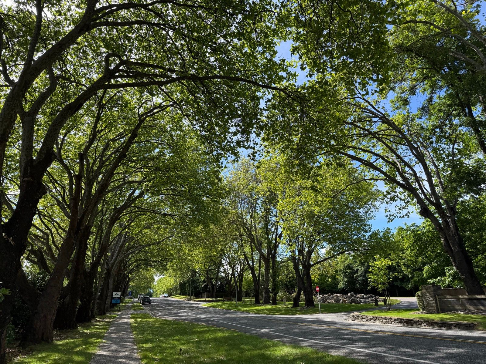 A totally different perspective on the green tunnel!