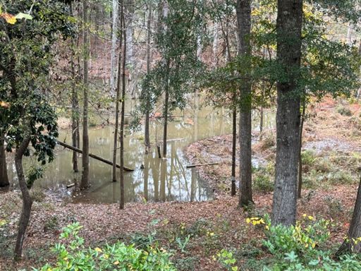 Beaver dam on campus at Troy University