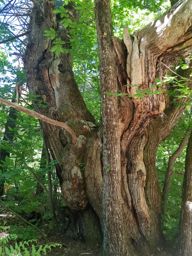 Les grés d’Annot en famille