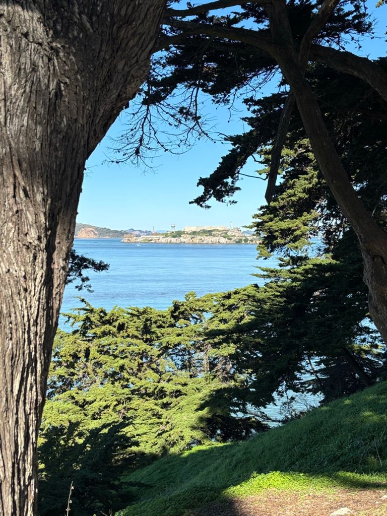 Butterlap (Presidio & Golden Gate Park) photo 174