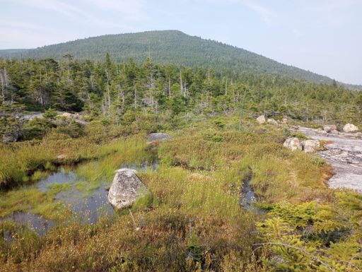 High Marsh