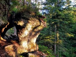 Sortie à vélo le soir