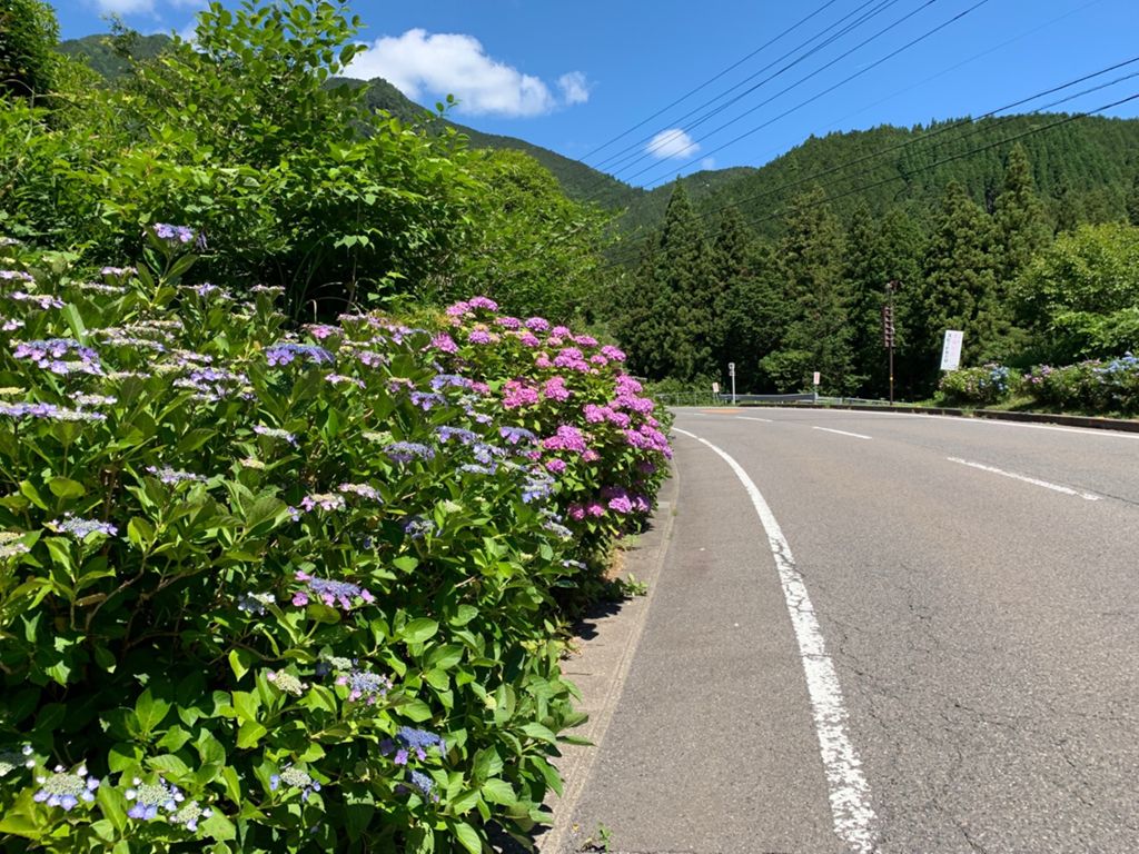 Relive 関市板取あじさい街道