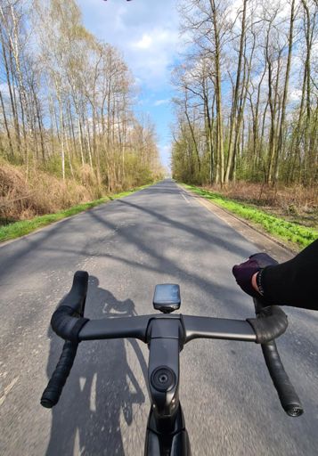 Prosta Klony - Gułtowy