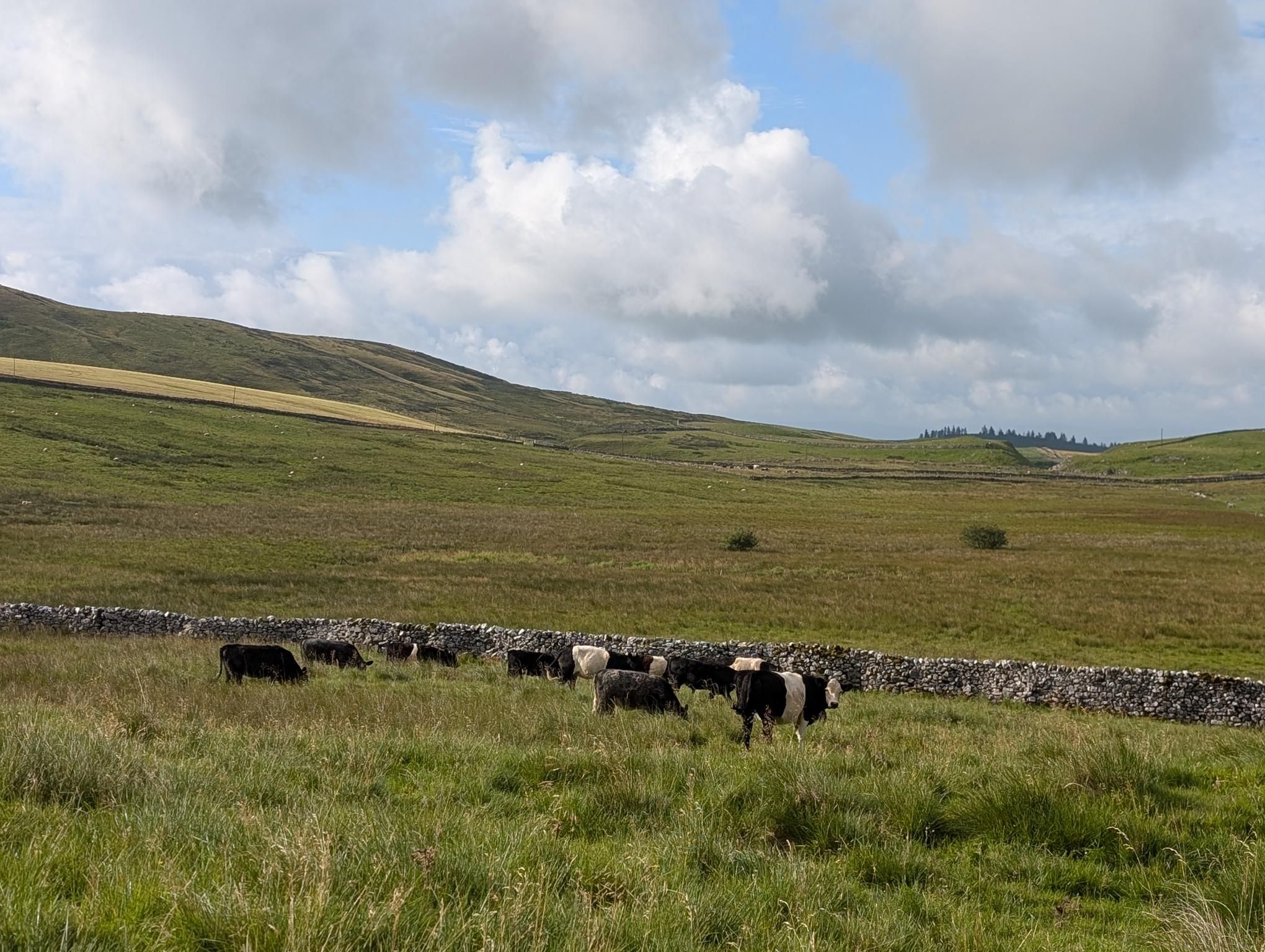 Settle to Skipton photo 2