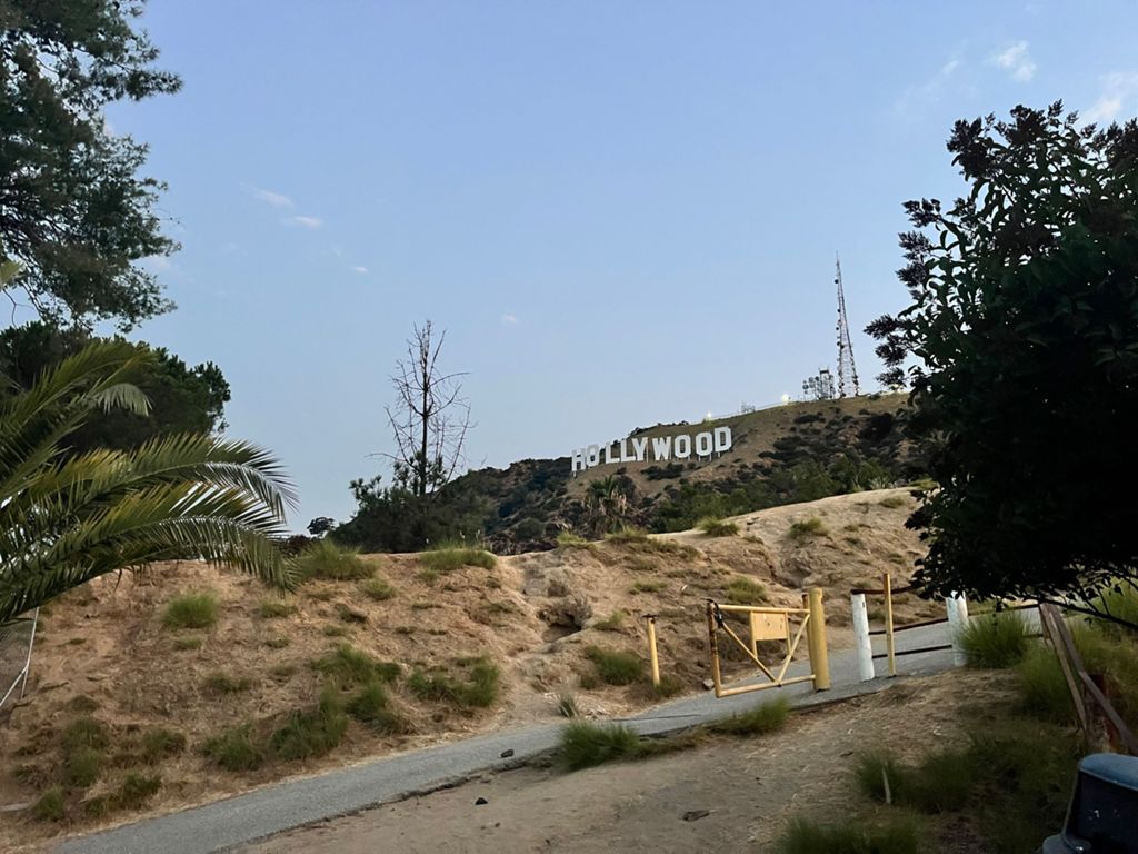 NBB run - Lake Hollywood: фото 154