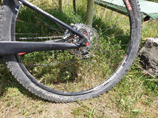 Andra punkan, snakebite. Slut på slang.