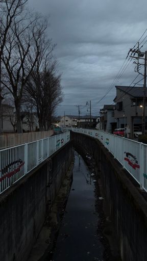 暗いよ〜
でも、水路にキセキレイがいた！