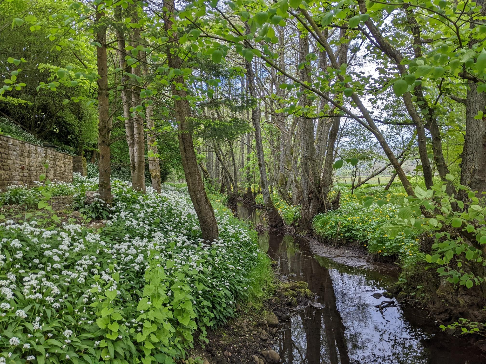 Herriot Way day 3 photo 12