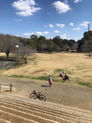 獅子頭を背に上から📸😼
