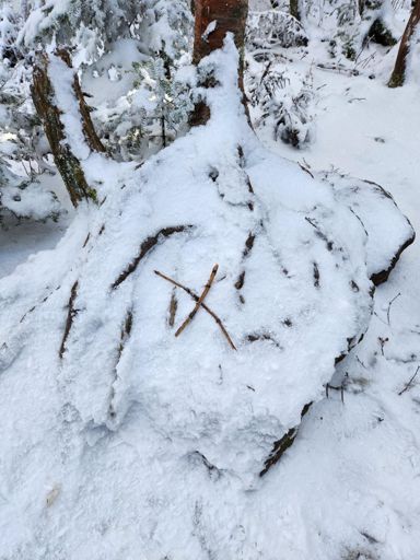 Someone dismantled the summit cairn so X marks the spot...