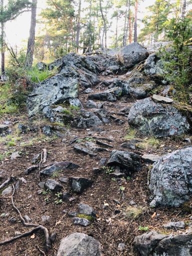 Gäller väl bara att ha bra fart in i backen antar jag 😅